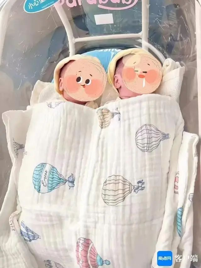 罕见!生日相差11天,海南一对龙凤胎分两次娩出 罕见!生日相差11天,海南一对龙凤胎分两次娩出