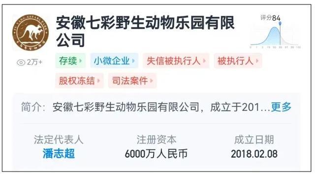 曾致20只东北虎死亡！一野生动物园被罚1139万元！