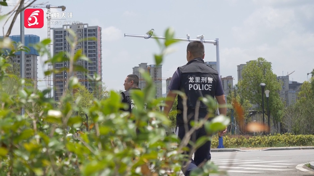 太大胆！4名男子白天“开豪车”，晚上竟然干这事