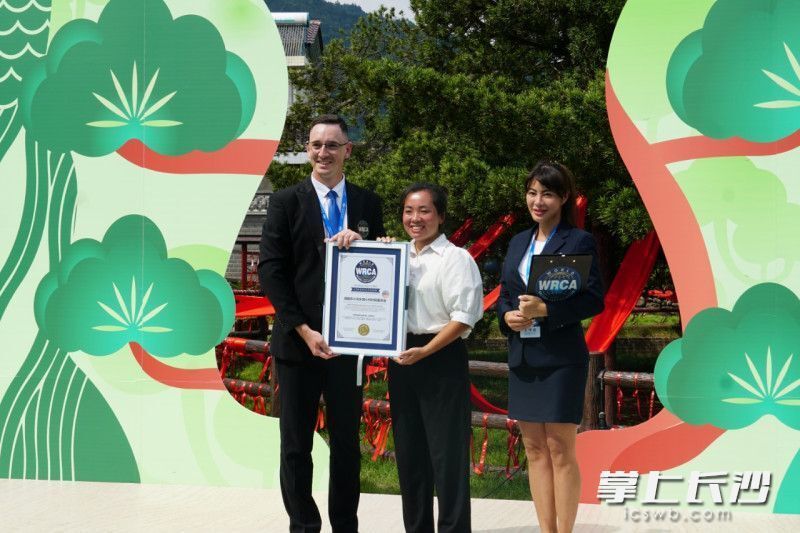 2110岁！世界树龄最长罗汉松在长沙浏阳