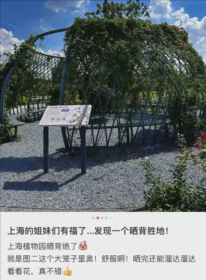 女子小区里“晒背”遭汽车碾轧 女子小区里“晒背”遭汽车碾轧