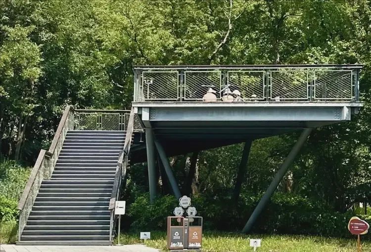 女子小区里“晒背”遭汽车碾轧 女子小区里“晒背”遭汽车碾轧