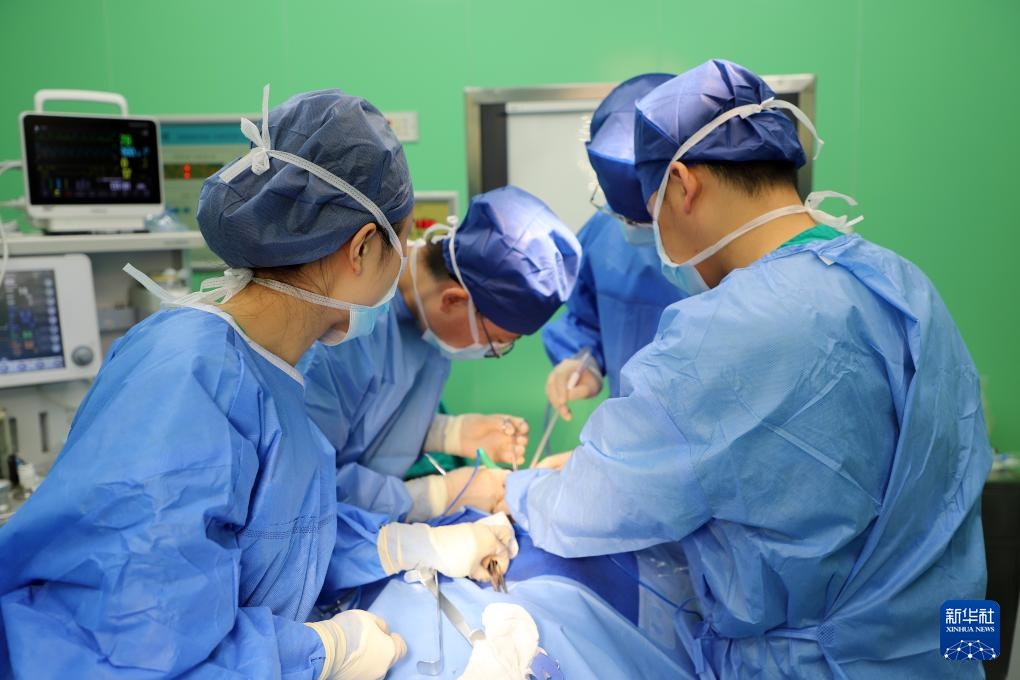 中国海军“和平方舟”号医院船结束访问莫桑比克前往南非