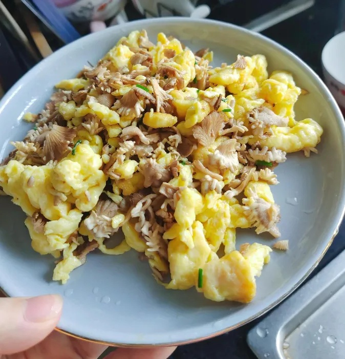 红遍全网的“果菌王”有了首批“后代”！她最先尝鲜