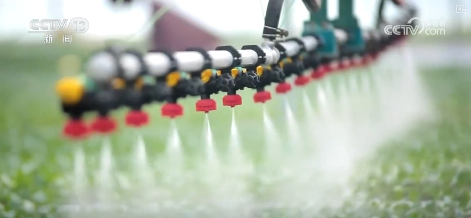 加大调货、预冷储藏运输,百姓夏日餐桌新鲜蔬菜供应有基础 加大调货、预冷储藏运输,百姓夏日餐桌新鲜蔬菜供应有基础