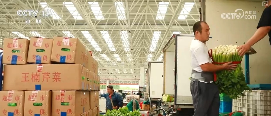 加大调货、预冷储藏运输,百姓夏日餐桌新鲜蔬菜供应有基础 加大调货、预冷储藏运输,百姓夏日餐桌新鲜蔬菜供应有基础