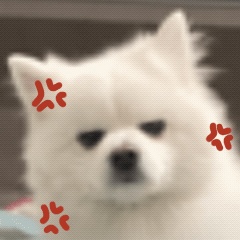 骗子派人上门取款?什么是电诈“工具人” 骗子派人上门取款?什么是电诈“工具人”