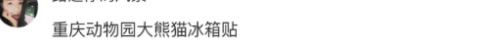 外地朋友来重庆推荐带啥特产回家？不要火锅、麻花……