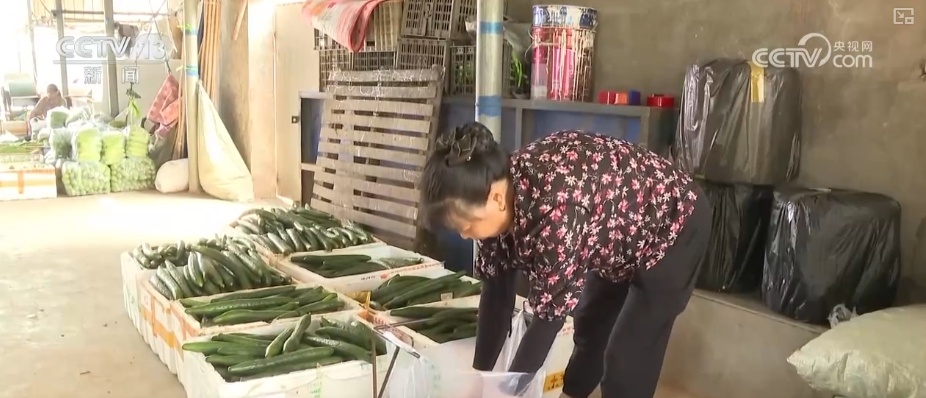 加大调货、预冷储藏运输,百姓夏日餐桌新鲜蔬菜供应有基础 加大调货、预冷储藏运输,百姓夏日餐桌新鲜蔬菜供应有基础