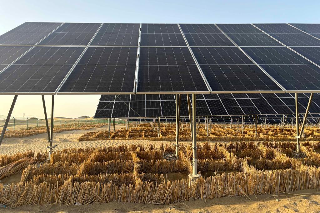 新疆:光伏+治沙一体化共筑沙漠生态屏障 新疆:光伏+治沙一体化共筑沙漠生态屏障