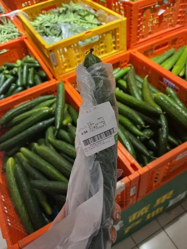 一根黄瓜近5元！济南菜价持续上涨 专家：近期仍有小幅波动上涨的可能