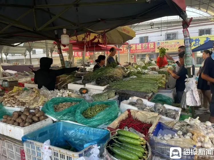 一根黄瓜近5元！济南菜价持续上涨 专家：近期仍有小幅波动上涨的可能