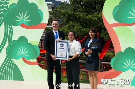 2110岁！最高寿的罗汉松在这里，获世界纪录认证