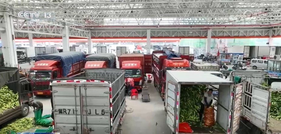 加大调货、预冷储藏运输,百姓夏日餐桌新鲜蔬菜供应有基础 加大调货、预冷储藏运输,百姓夏日餐桌新鲜蔬菜供应有基础