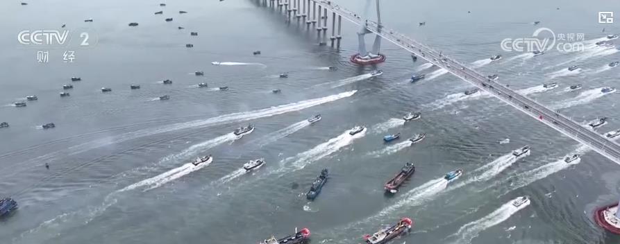 开渔啦！千帆竞发踏浪争“鲜” 开启新一轮耕海牧渔