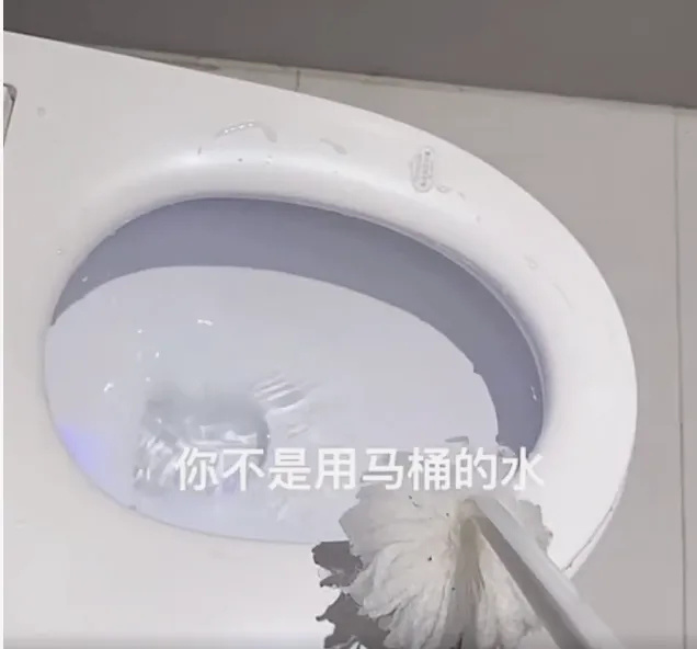 冲上热搜！酒店用马桶刷蘸马桶水刷洗马桶被女子发现，网友炸锅