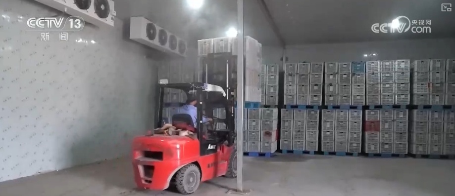 加大调货、预冷储藏运输,百姓夏日餐桌新鲜蔬菜供应有基础 加大调货、预冷储藏运输,百姓夏日餐桌新鲜蔬菜供应有基础