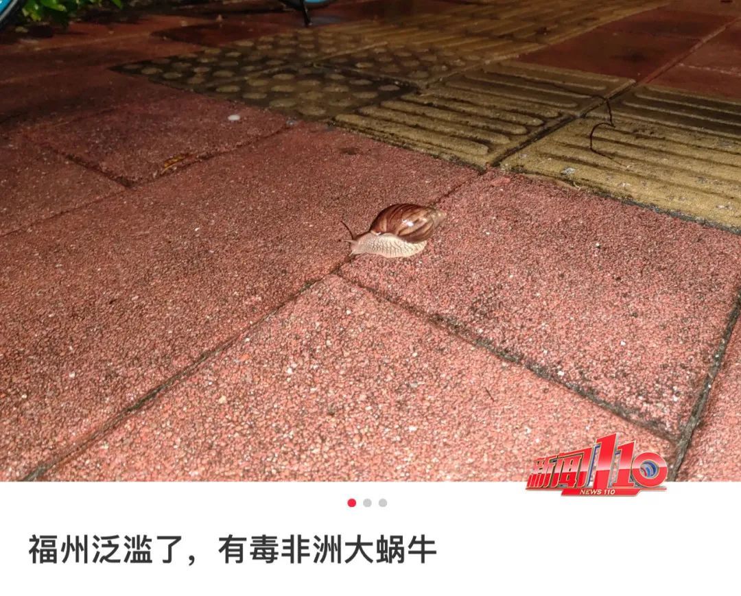 又一新台风或生成!福州人雨后看到这个东西千万别碰! 又一新台风或生成!福州人雨后看到这个东西千万别碰!