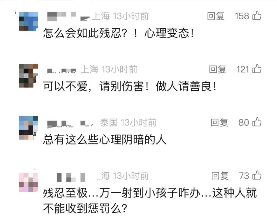 小区流浪猫身中10箭死亡，还有多只猫咪被射伤！嫌疑人已被警方控制