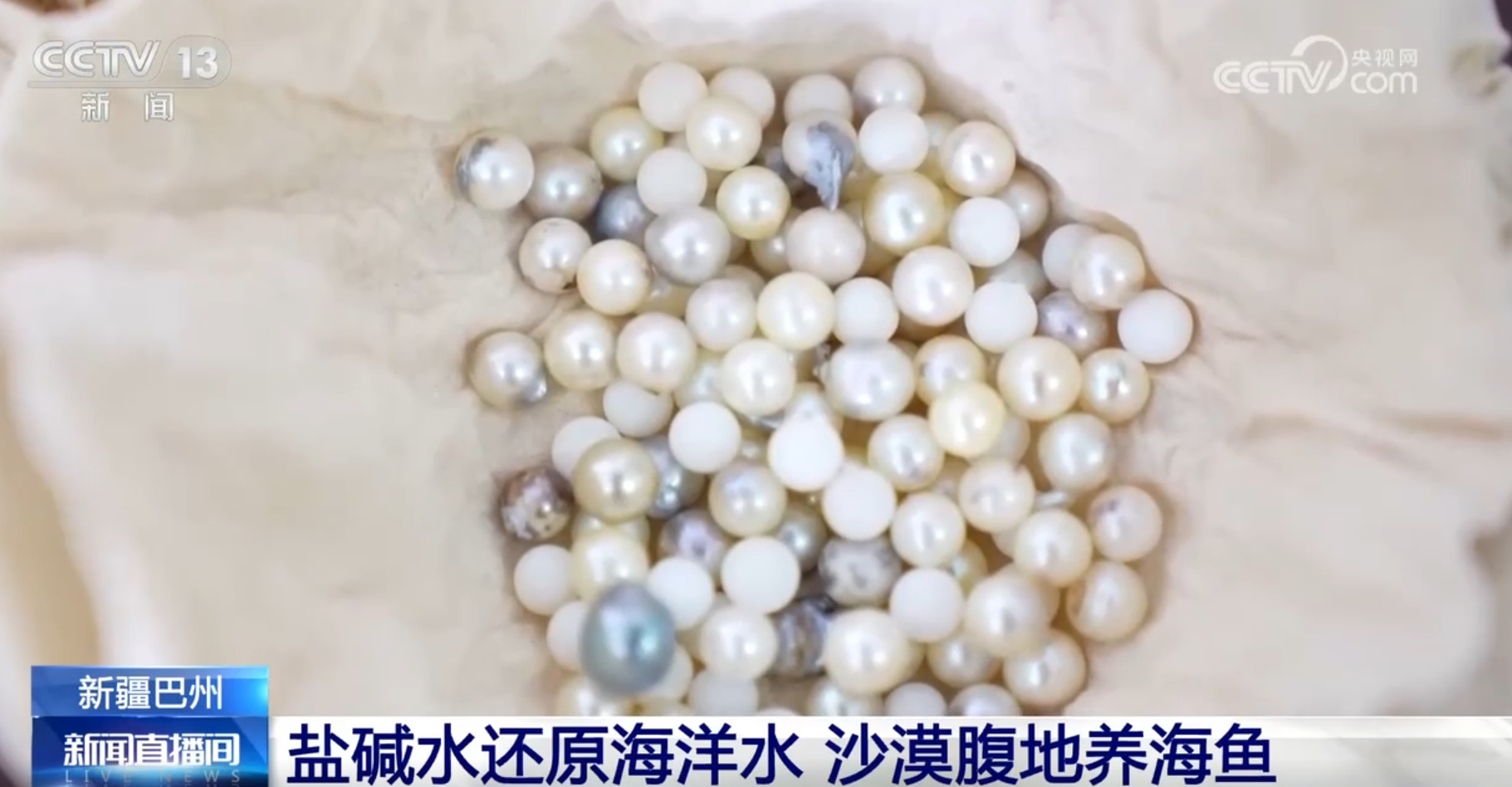 沙漠腹地养海鱼、小瓜子成大产业 “烟火气”中的新疆生机盎然