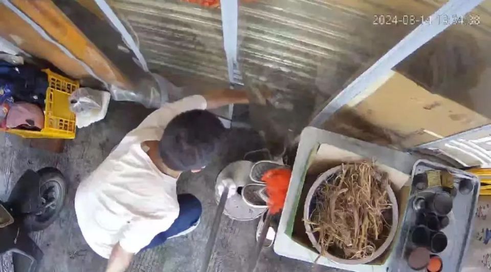 小区流浪猫身中10箭死亡，还有多只猫咪被射伤！嫌疑人已被警方控制