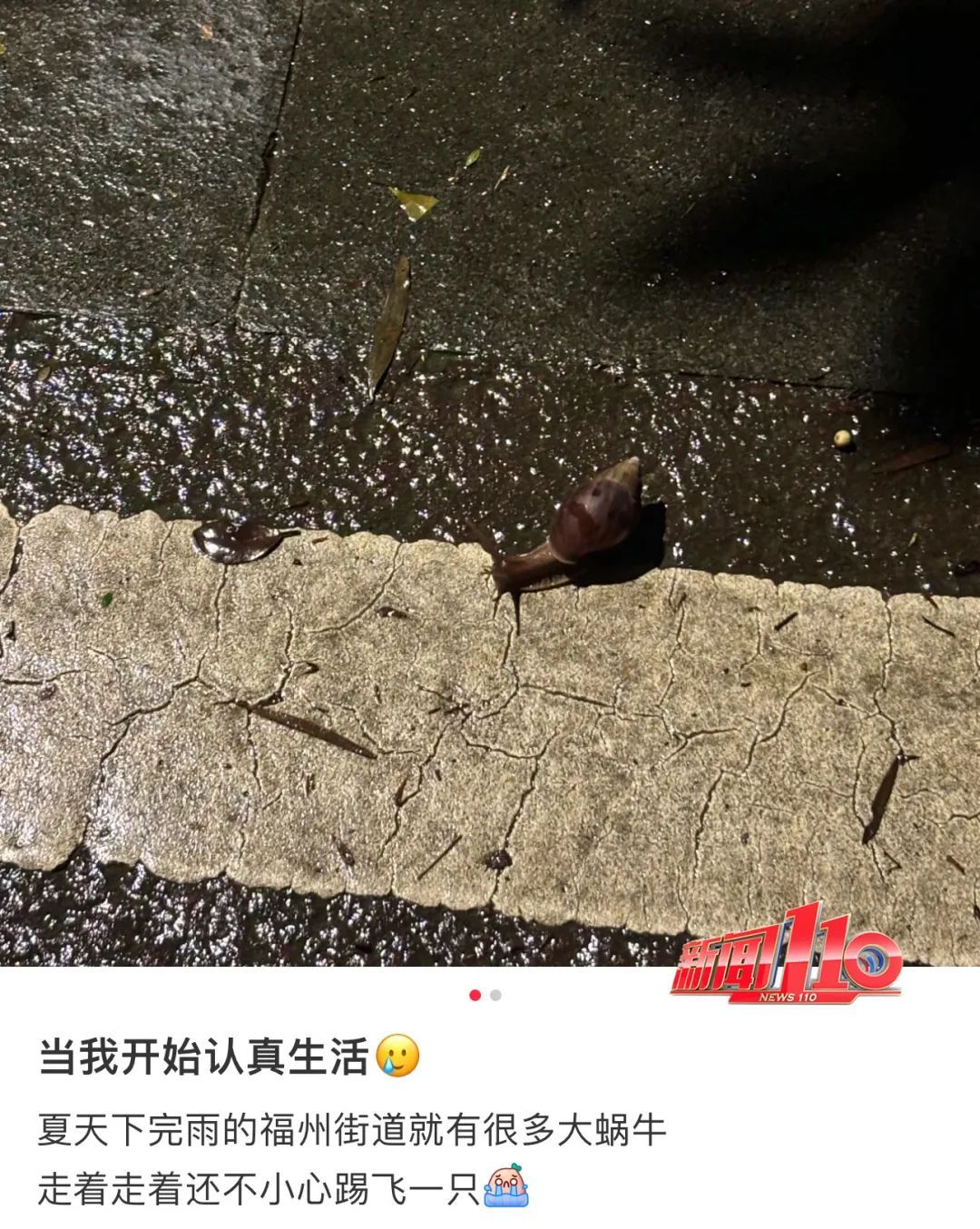 又一新台风或生成!福州人雨后看到这个东西千万别碰! 又一新台风或生成!福州人雨后看到这个东西千万别碰!
