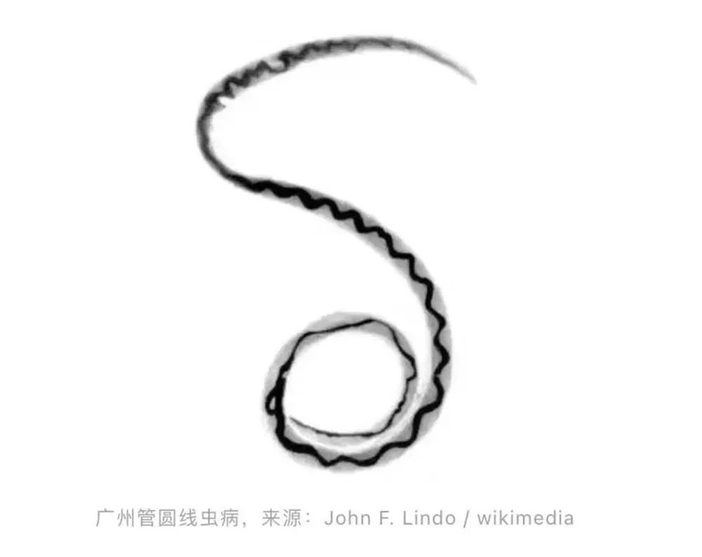 又一新台风或生成!福州人雨后看到这个东西千万别碰! 又一新台风或生成!福州人雨后看到这个东西千万别碰!