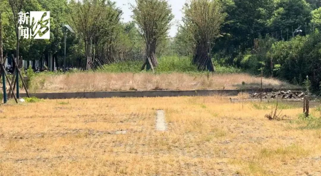 太危险!上海一地铁站,被7000辆非机动车围堵……居民建议:绿地能否改建停车? 太危险!上海一地铁站,被7000辆非机动车围堵……居民建议:绿地能否改建停车?