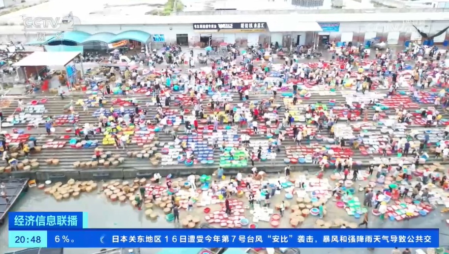 休渔期结束 第一批海鲜回港 食客凌晨寻“鲜” 休渔期结束 第一批海鲜回港 食客凌晨寻“鲜”