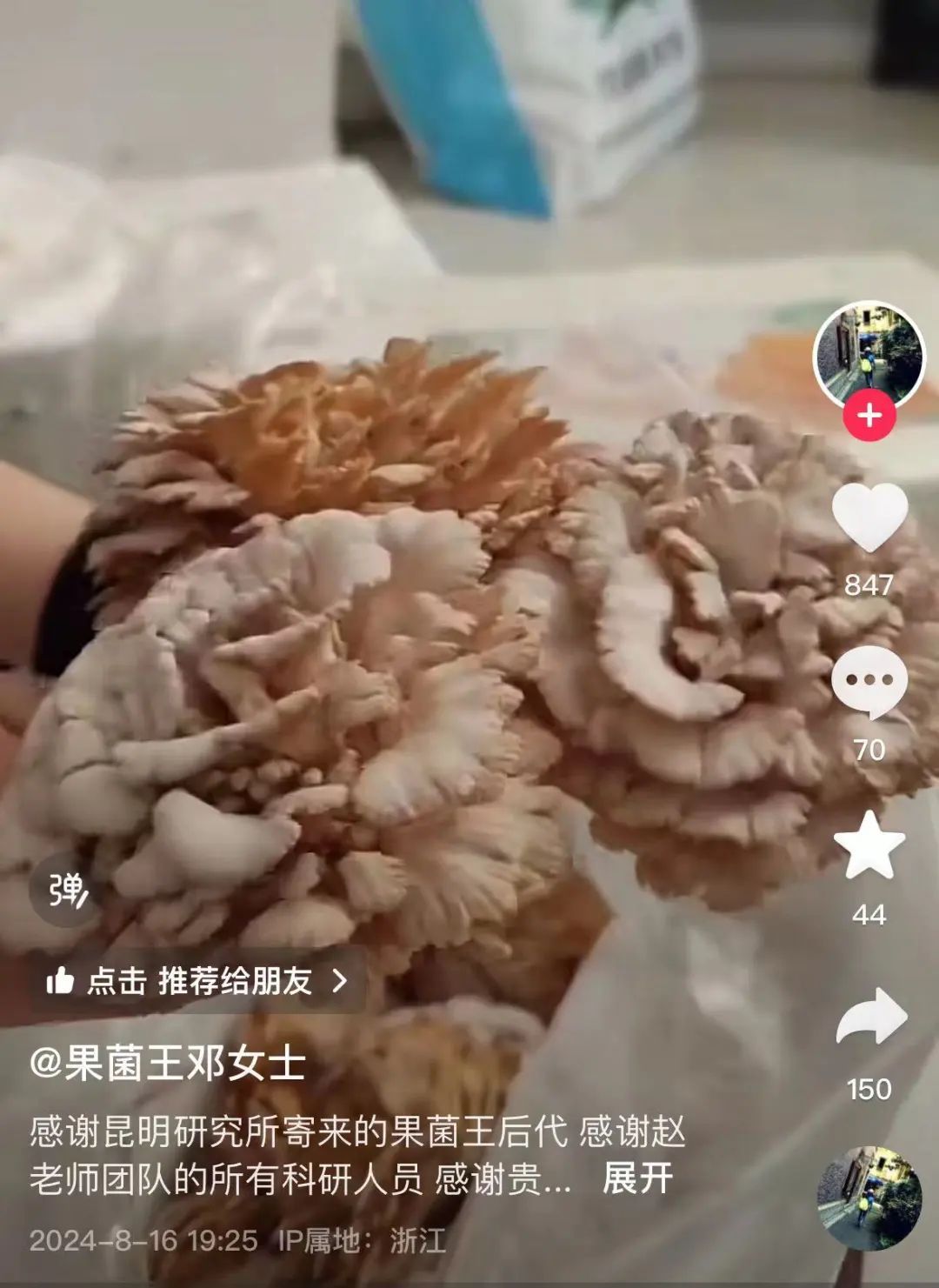 邓女士，“果菌王”后代请查收→