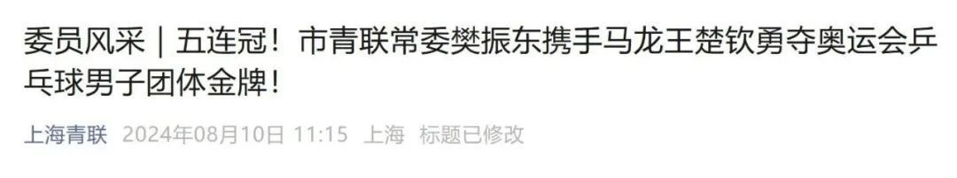 樊振东，任副主任