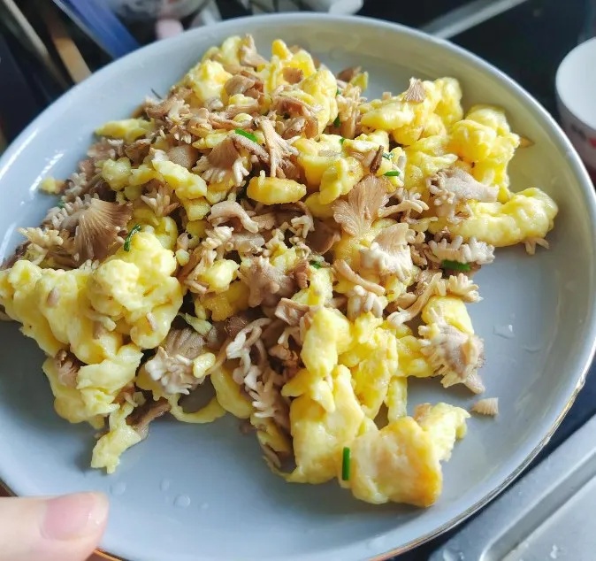 “果菌王”在昆明结果了!原主人已尝鲜 “果菌王”在昆明结果了!原主人已尝鲜