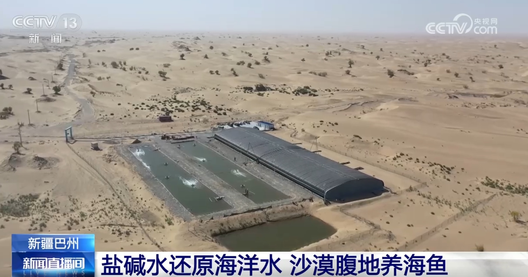 沙漠腹地养海鱼、小瓜子成大产业 “烟火气”中的新疆生机盎然