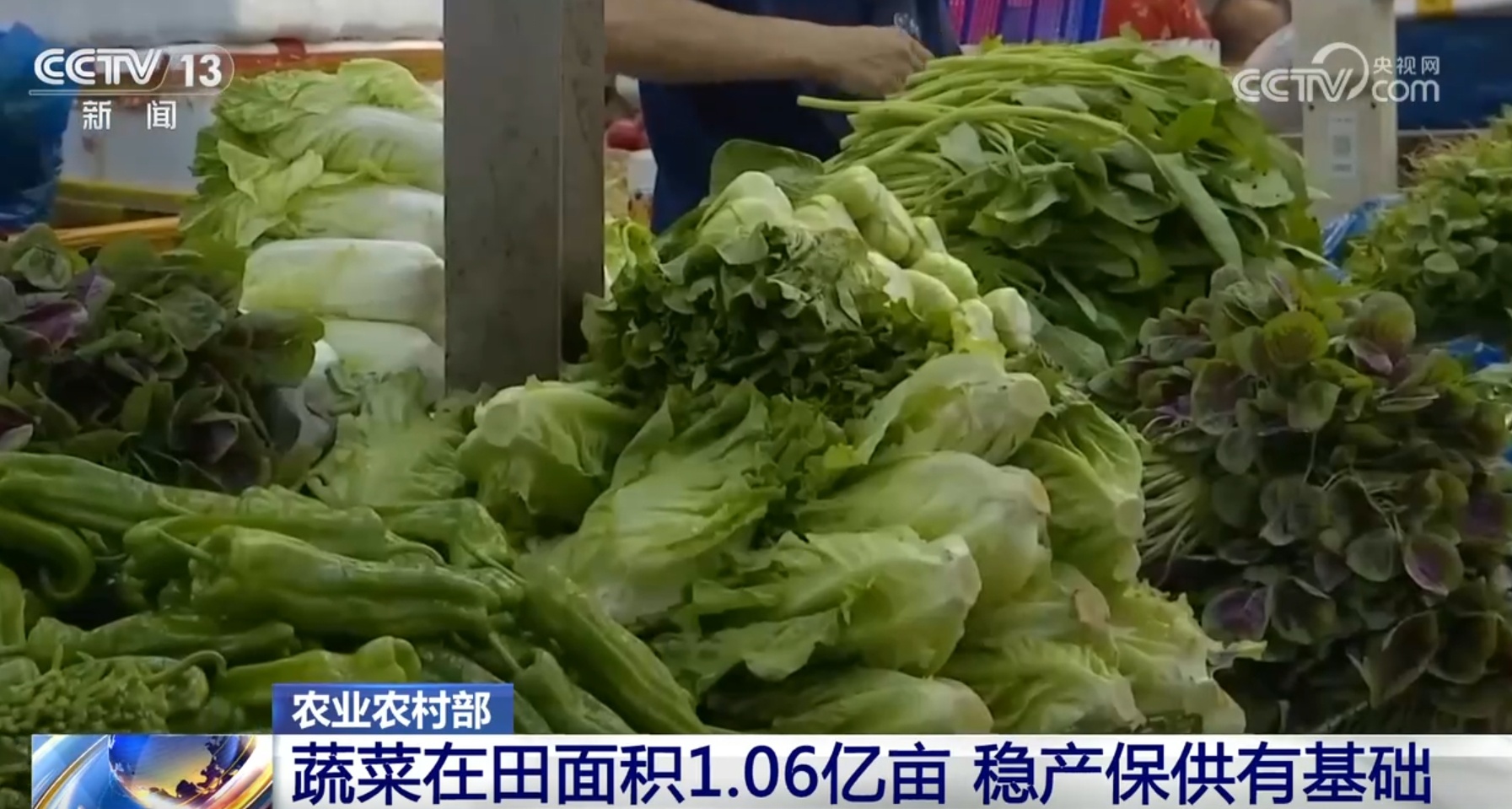 1.06亿亩、3000吨 稳定供应！多措并举全力保障“菜篮子”货足价稳