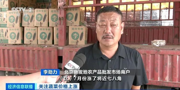 夏季高温多雨致蔬菜价格上涨，未来价格走势如何？业内人士分析→