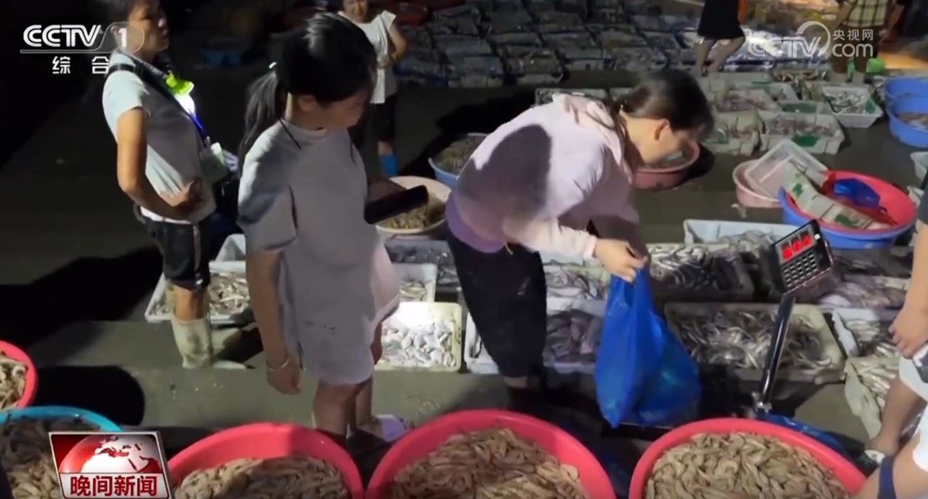 未来产业正成长、开渔归来去寻“鲜” 中国活力满满信心足