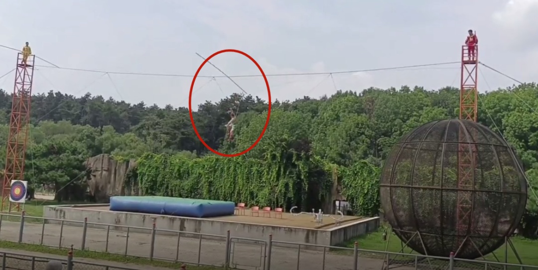 吉林东北虎园“高空走钢丝”演员高空坠落送医，园方：暂停马戏嘉年华表演