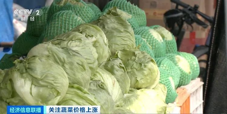 夏季高温多雨致蔬菜价格上涨，未来价格走势如何？业内人士分析→