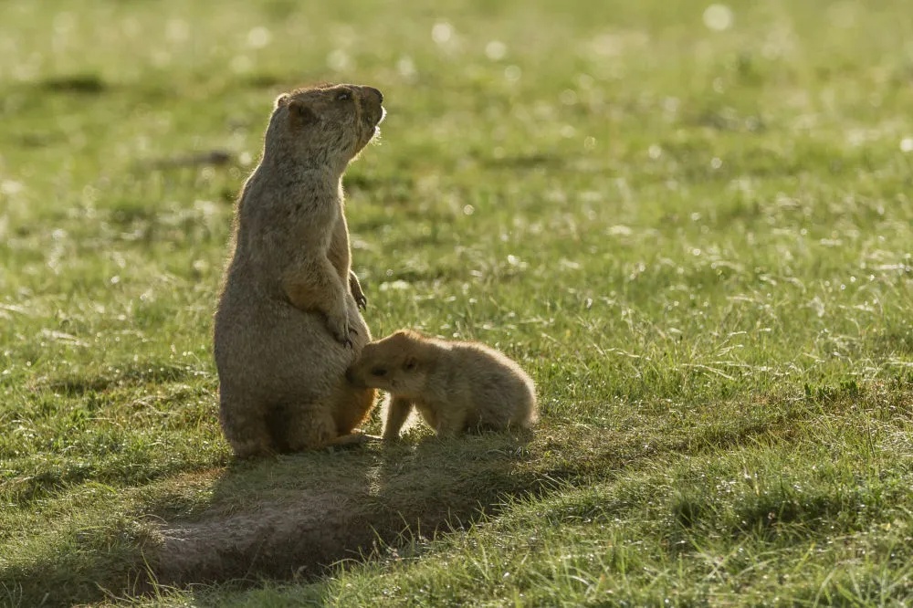 暗藏巨大风险，请远离！