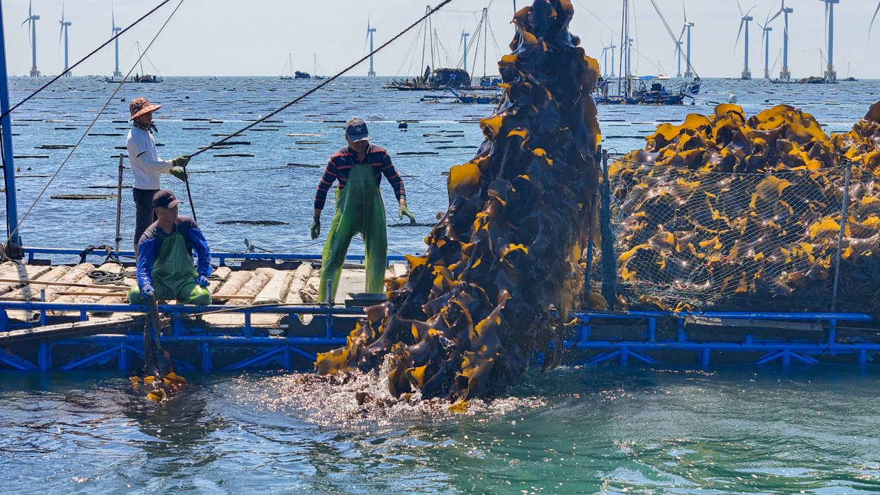 福建南日岛:渔旅共兴 绘就海岛新画卷 福建南日岛:渔旅共兴 绘就海岛新画卷