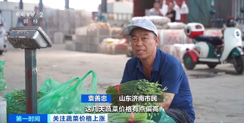全国多地蔬菜价格持续上扬，黄瓜批发价涨超40%！还会再涨吗？