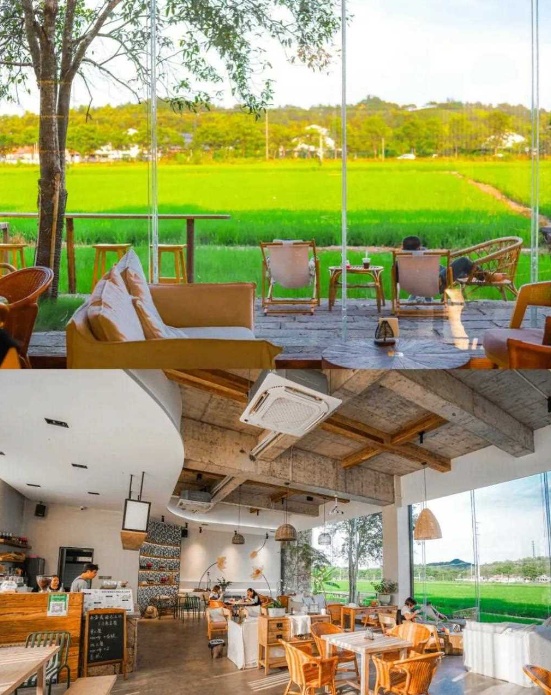 从“网红”到“长红”，靠什么？