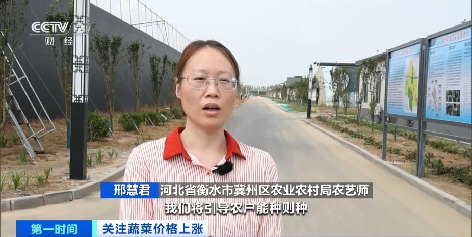 全国多地蔬菜价格持续上扬，黄瓜批发价涨超40%！还会再涨吗？