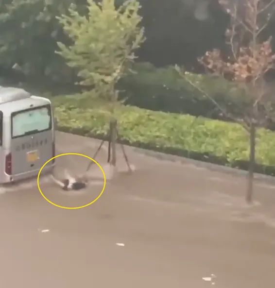 大连暴雨！2人被冲到大客车下溺亡，派出所：系一对父女