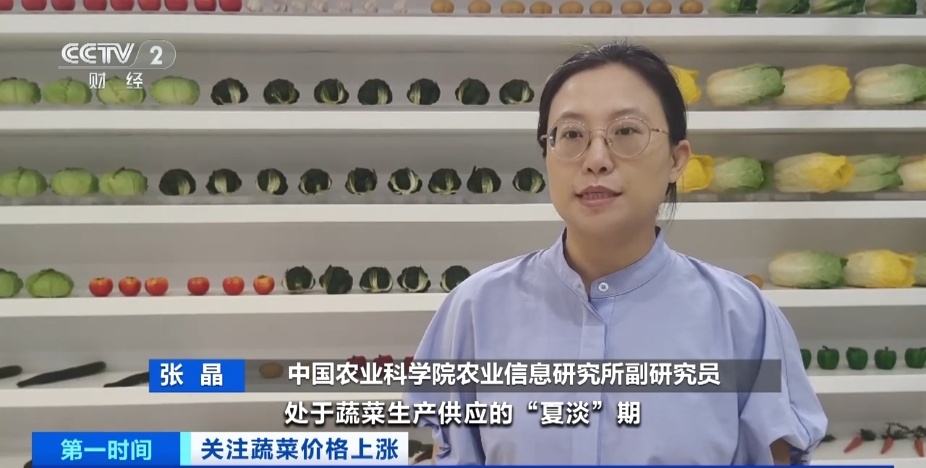 全国多地蔬菜价格持续上扬，黄瓜批发价涨超40%！还会再涨吗？