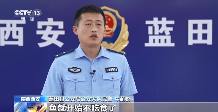 法治在线丨什么钓场入场费要数千元？揭开“钓鱼赢豪车”背后的套路