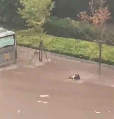 大连突降暴雨,2人意外死亡!这份风险指南请收藏→ 大连突降暴雨,2人意外死亡!这份风险指南请收藏→