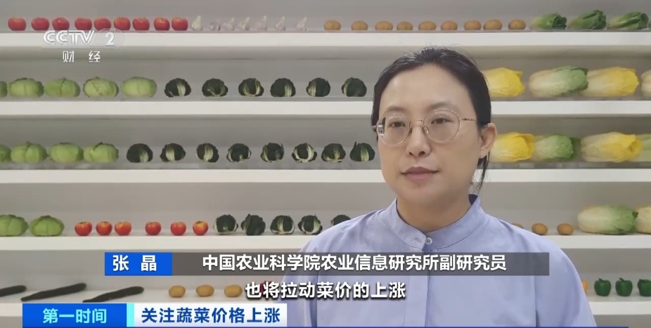 全国多地蔬菜价格持续上扬，黄瓜批发价涨超40%！还会再涨吗？