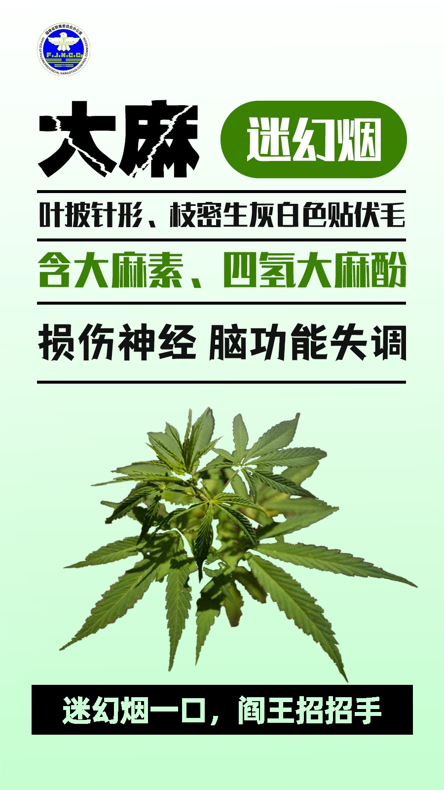 警惕“毒”物!记住这些防毒关键词 警惕“毒”物!记住这些防毒关键词