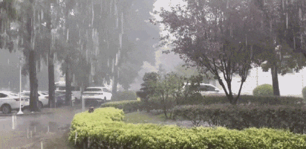 下暴雨了！武汉这些片区要注意